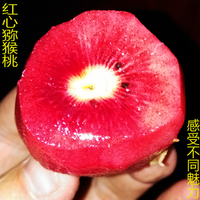 紅心獼猴桃團購_淘寶紅心獼猴桃團購_紅心獼猴桃團購熱賣-愛淘寶