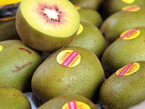 紅心獼猴桃的營養價值高嗎 知識大普及告訴你它對人體的好處