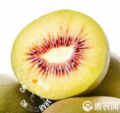 四川特產(chǎn)水果 紅心獼猴桃 奇異果 好吃不膩