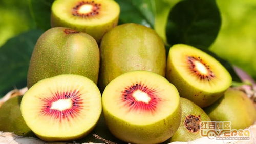 廣西樂(lè)業(yè)紅心獼猴桃季