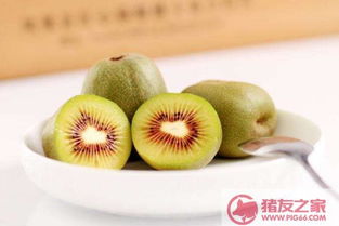 紅心獼猴桃的功效與作用及禁忌 紅心獼猴桃的營(yíng)養(yǎng)價(jià)值