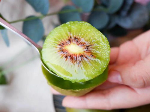 甜到心尖兒上 一捏就出汁的紅心獼猴桃,維c滿滿,驚艷你的味蕾