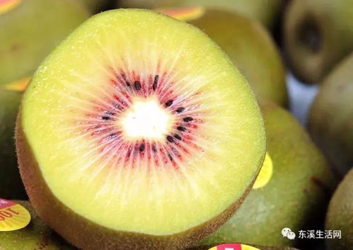 中國蒼溪 紅心獼猴桃 2018年再次向世界發(fā)出搶購號令