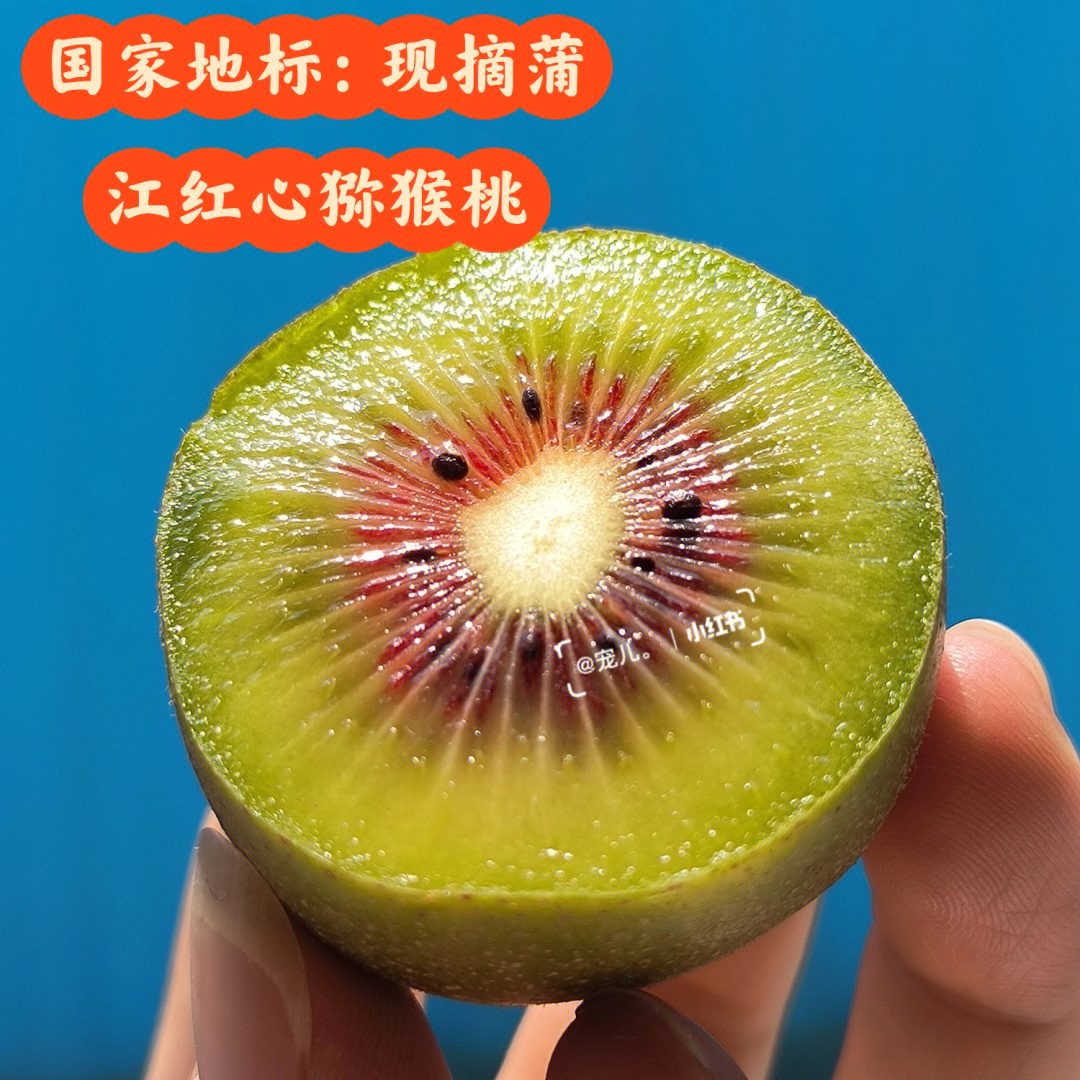 國家地標(biāo)農(nóng)產(chǎn)品核心產(chǎn)區(qū)蒲江紅心獼猴桃