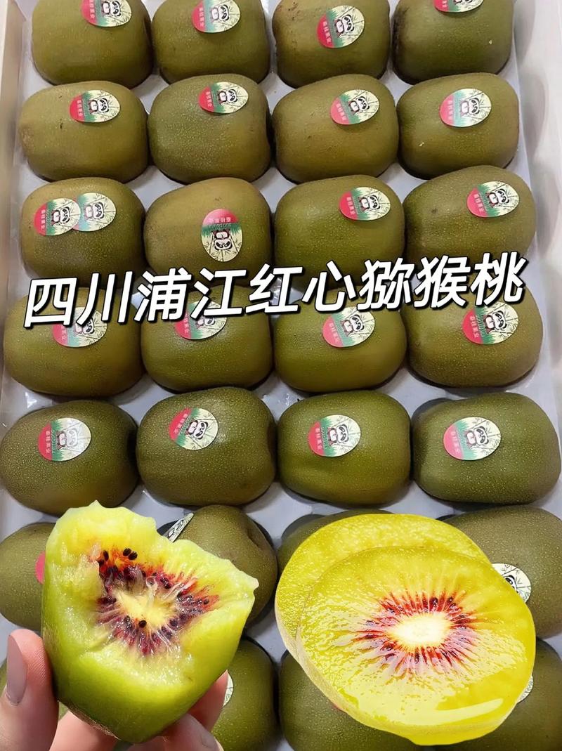 這個蒲江紅心獼猴桃是特早熟紅心品種,抗逆性強.