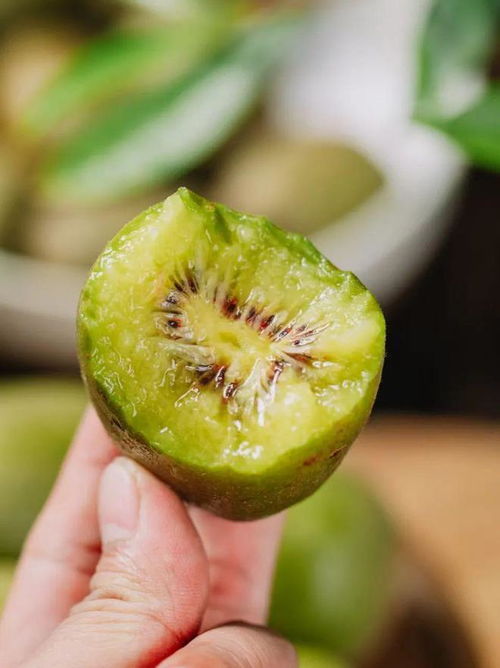 初秋限定的那抹高甜,非蒲江紅心獼猴桃莫屬