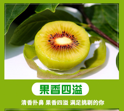 【壞果包賠】48小時發貨 四川紅心獼猴桃 新鮮應季孕婦水果 現摘現發蒲江獼猴桃YHG