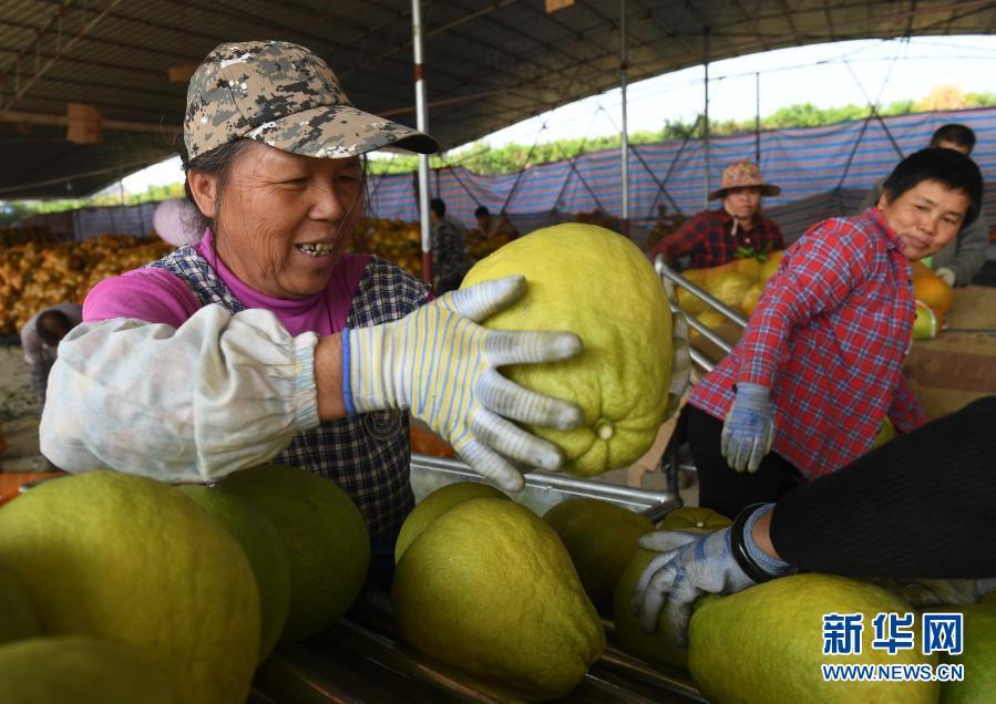 陽光灑滿九萬山——仫佬山鄉脫貧記