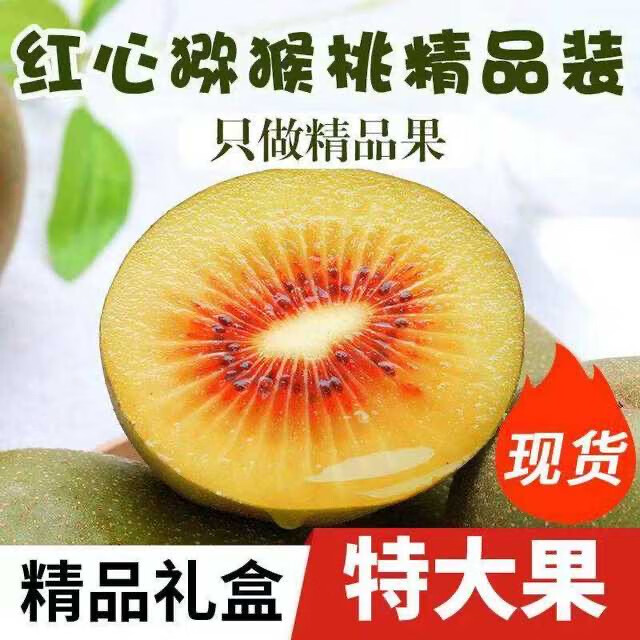 陜西周至紅心獼猴桃 時令鮮果禮盒裝，5斤裝的營養美味