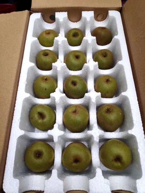 浦江紅心獼猴桃 1顆不到1元，甜蜜多汁的VC之王